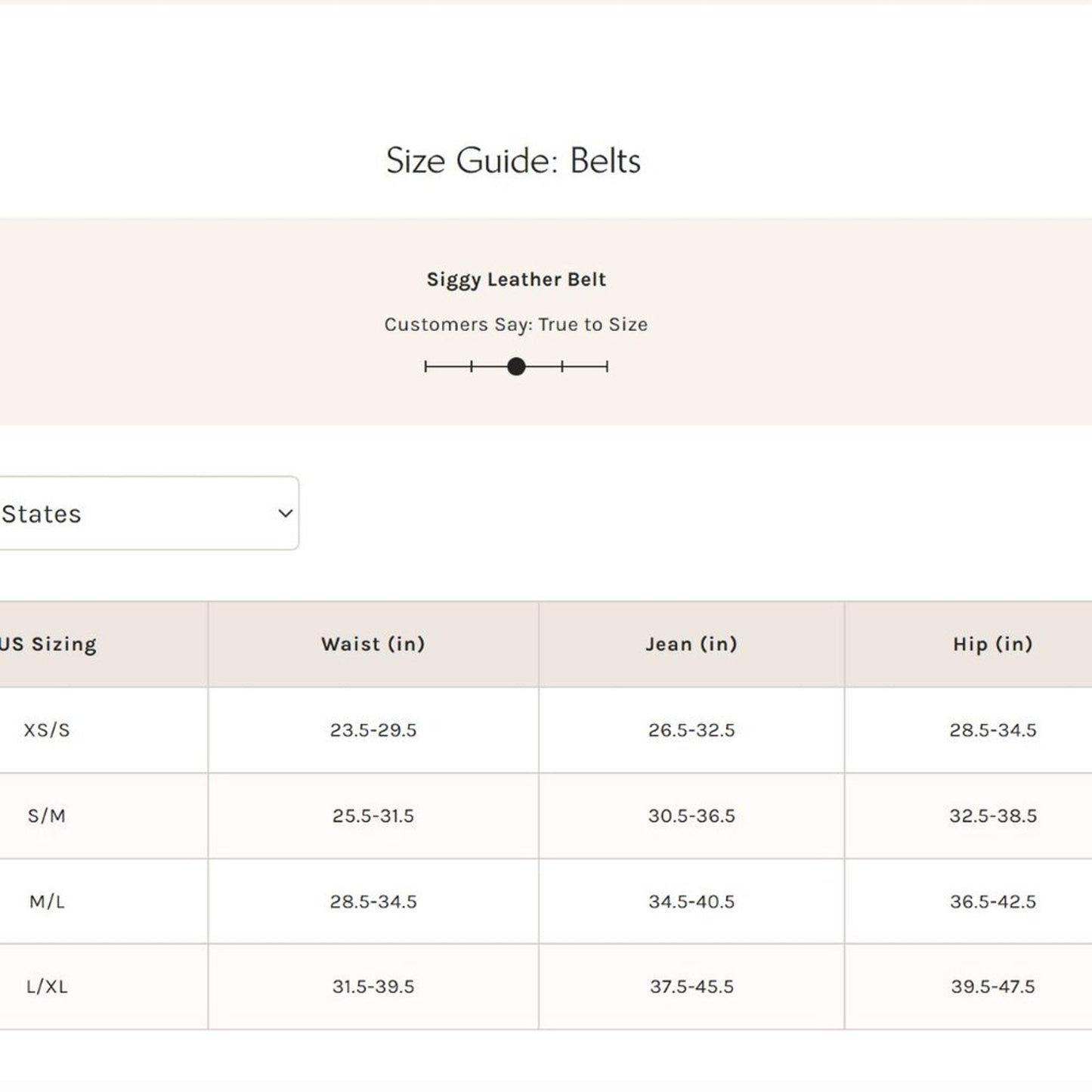 Free People Siggy Leather Belt in Patina