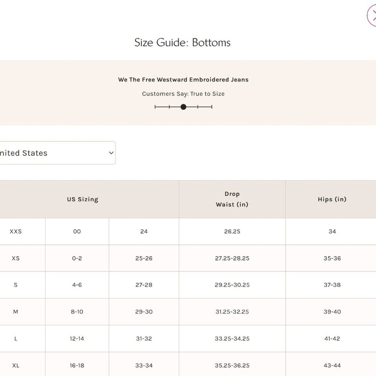 Free People Westward Embroidered Jeans in Under The Sea