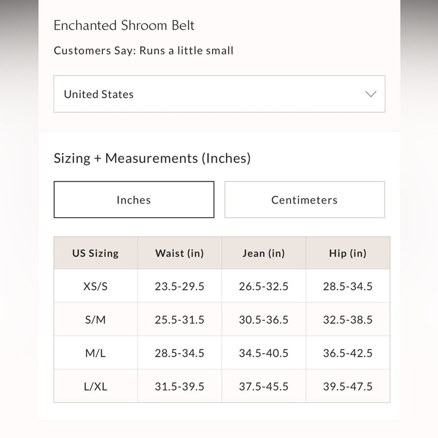 Free People Enchanted Shroom Belt in Starfish