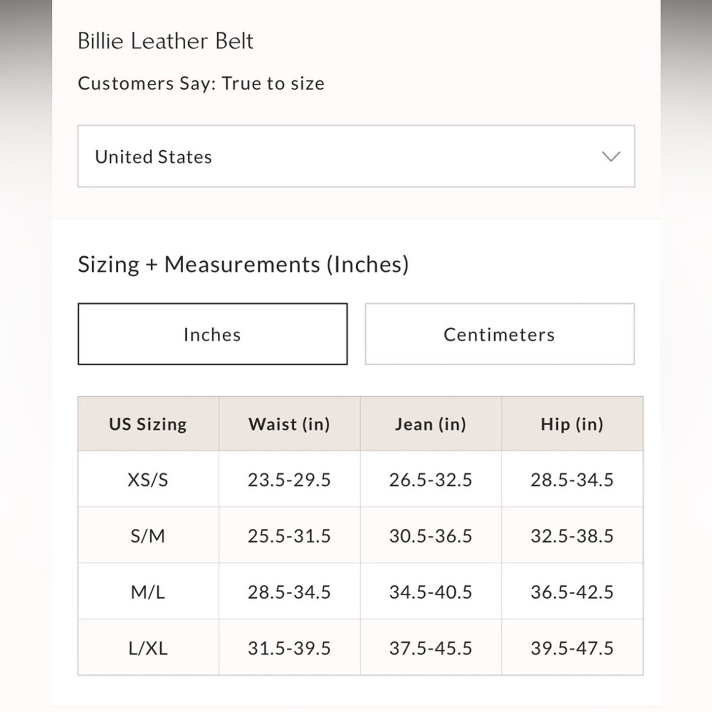 Free People Billie Leather Belt in Wild Side