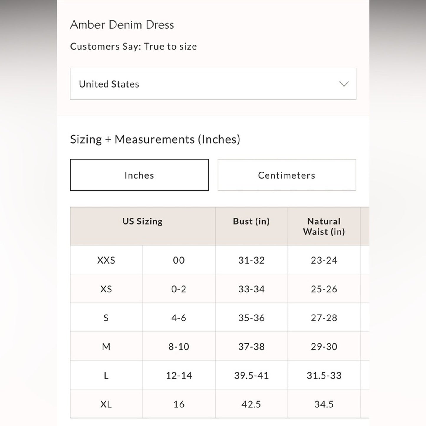 Free People Amber Denim Dress in Dark Indigo